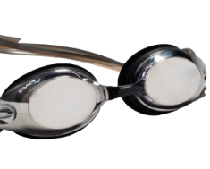 Goggle